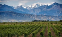 Mendoza